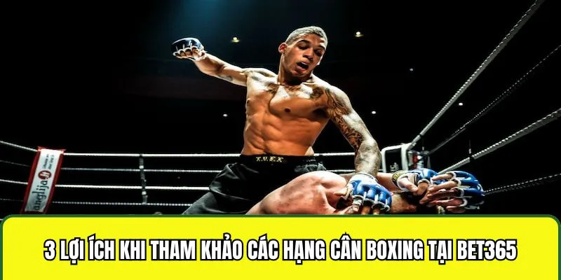 3 lợi ích khi tham khảo các hạng cân boxing tại Bet365