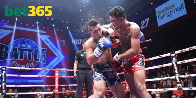 Boxing môn thể thao được quan tâm nhất 2025