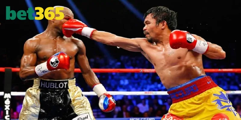 Thành viên cần hiểu tường tận rõ luật Boxing Bet365