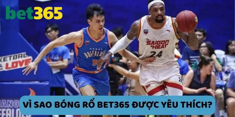 Những điểm sáng giá tại sân chơi bóng rổ Bet365