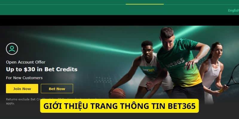 Giới thiệu trang thông tin Bet365