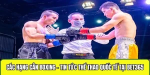 các hạng cân boxing