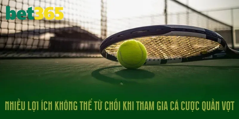 Vô vàn những điều hữu ích khi tham gia quần vợt Bet365