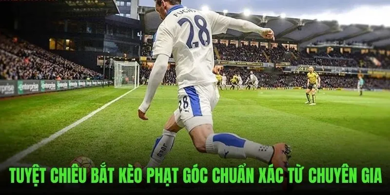 Bật mí những tuyệt chiêu bắt kèo siêu chuẩn từ chuyên gia