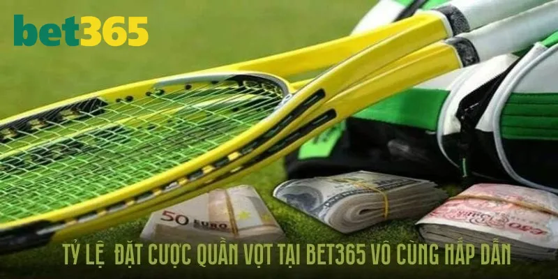 Quần vợt Bet365 bộ môn cực hấp dẫn với tỷ lệ thắng cao